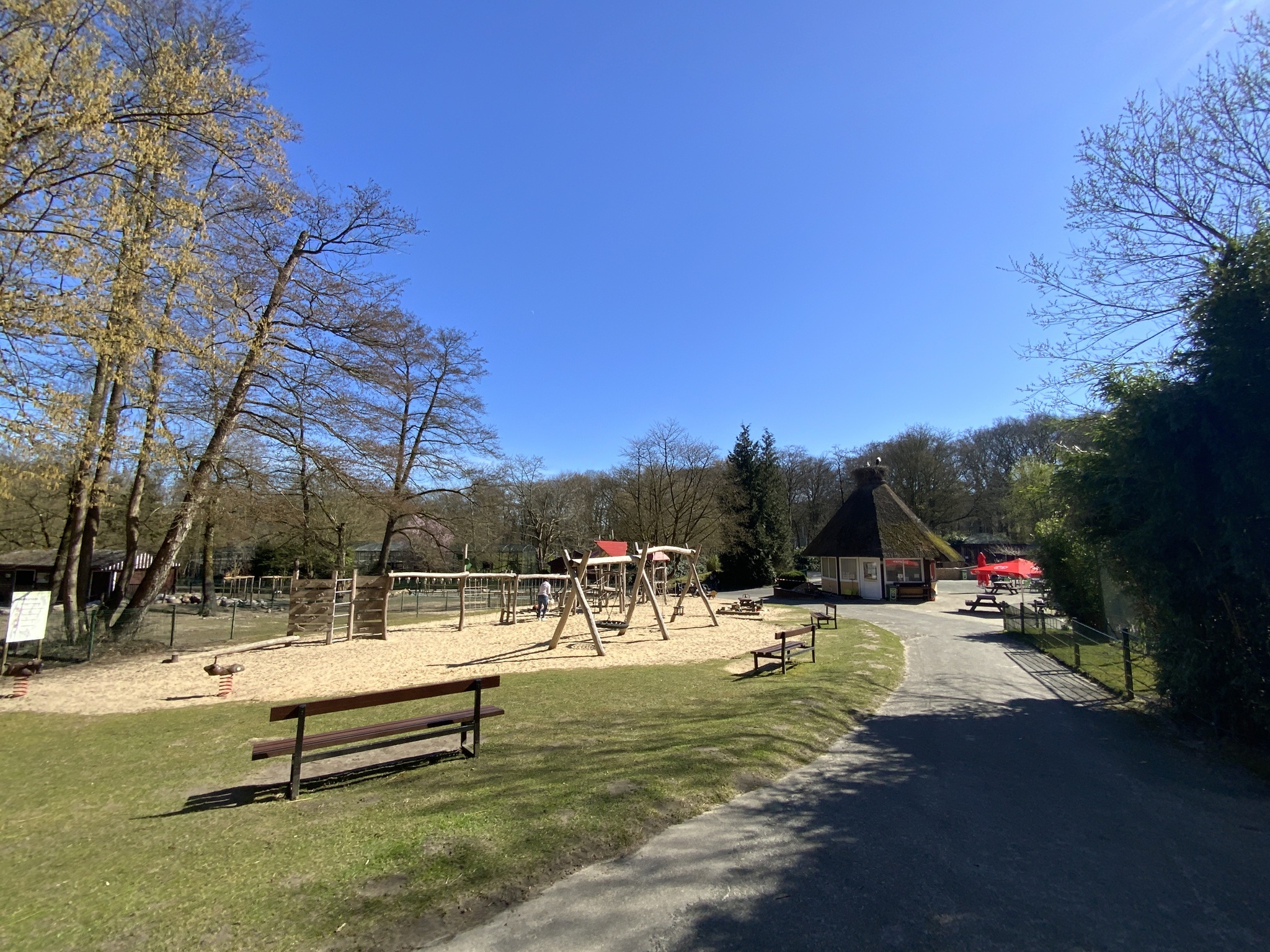 Wingster Waldzoo