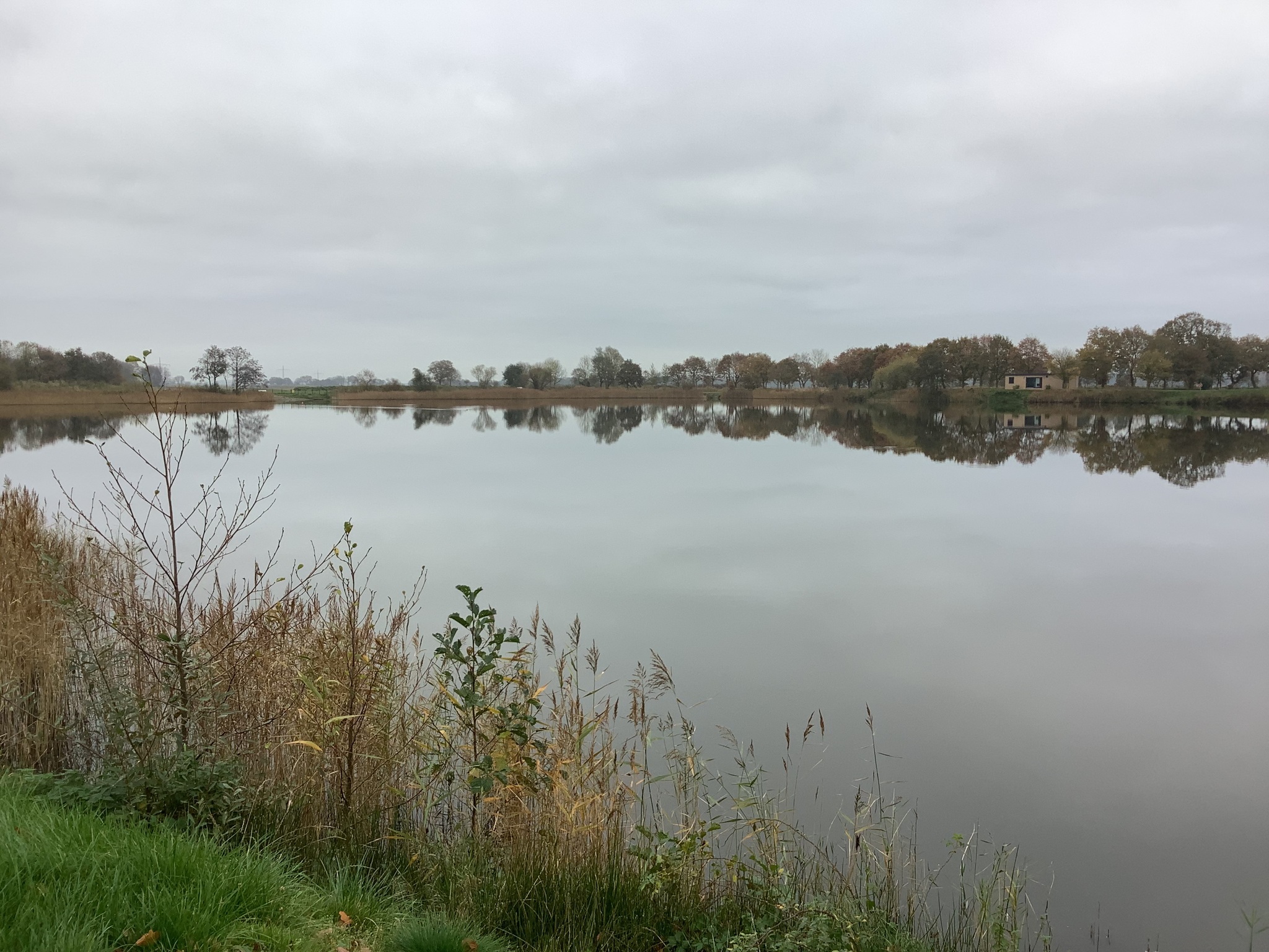 Camping und Ferienpark Friesensee