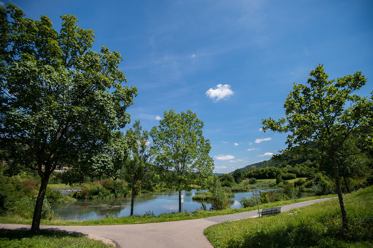 Rundweg um den Stadtweiher Riedenburg
