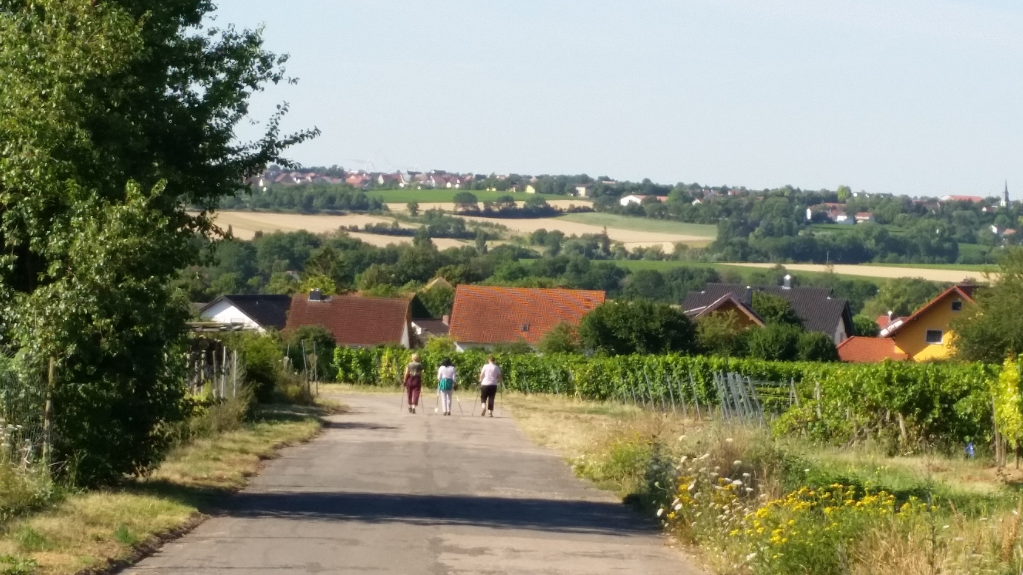 Rundweg im Naherholungsgebiet am Huckenhof
