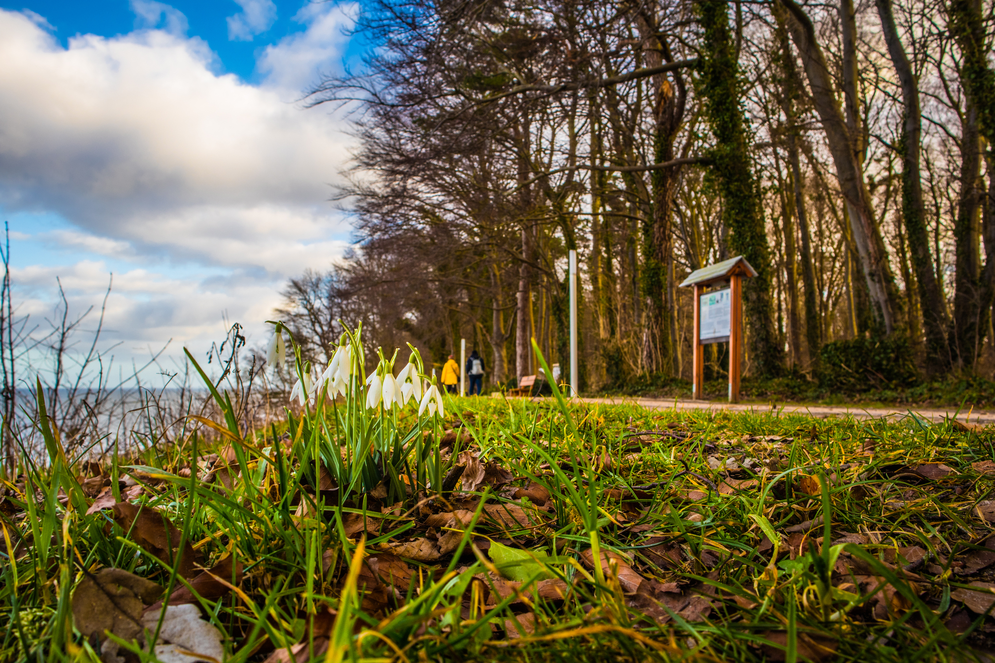Naturpromenade - ©©Andreas Dumke Naturpromenade - ©©Andreas Dumke