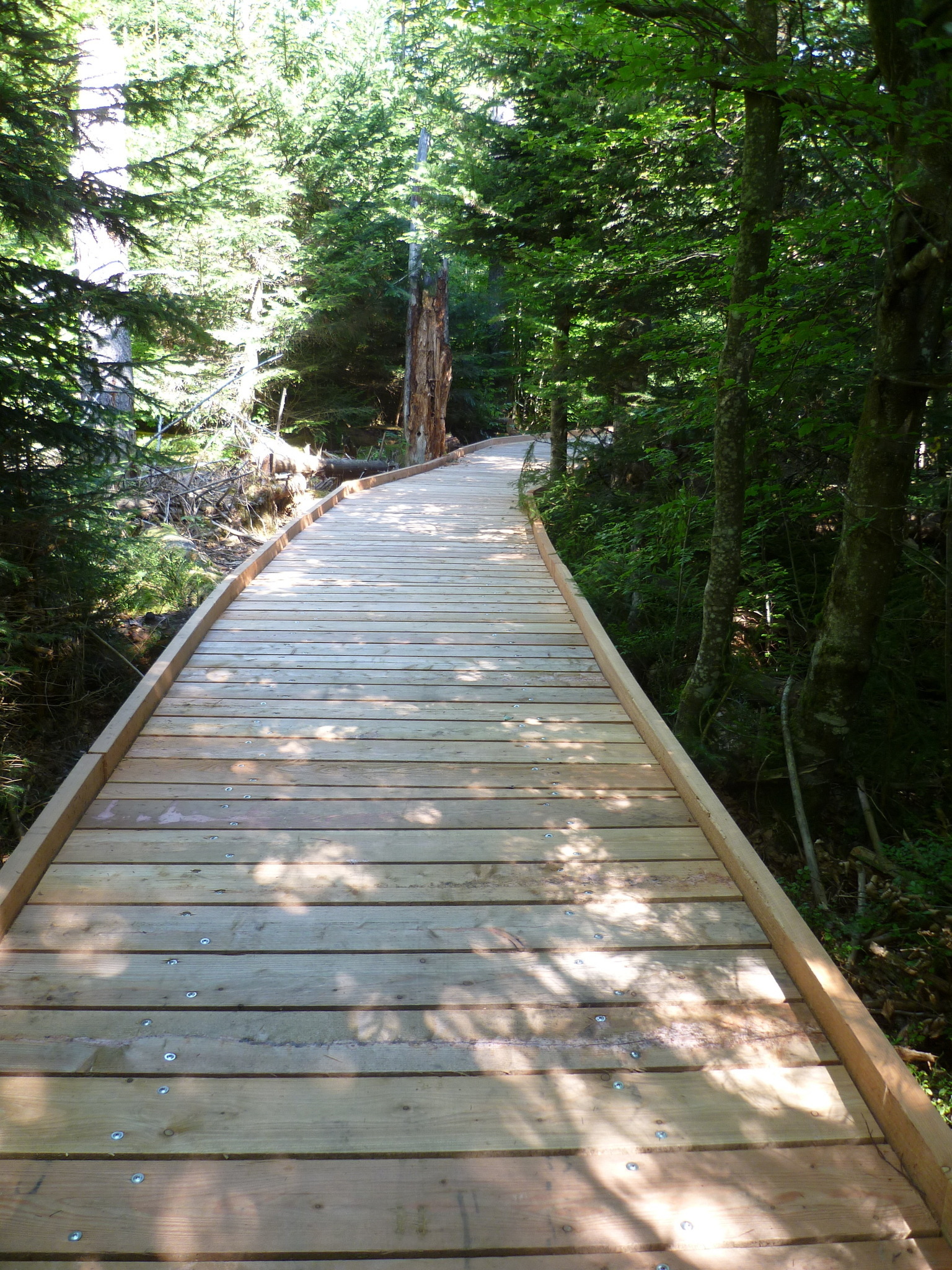 Erlebnisweg Großer Filz