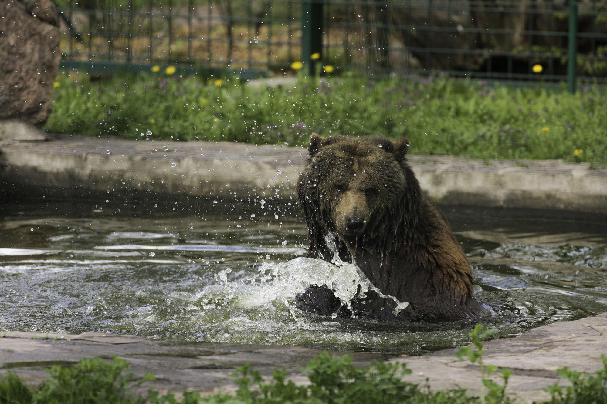 Urlaubsinspiration "Dessau-Roßlau - Spannend für kleine Stadtentdecker"