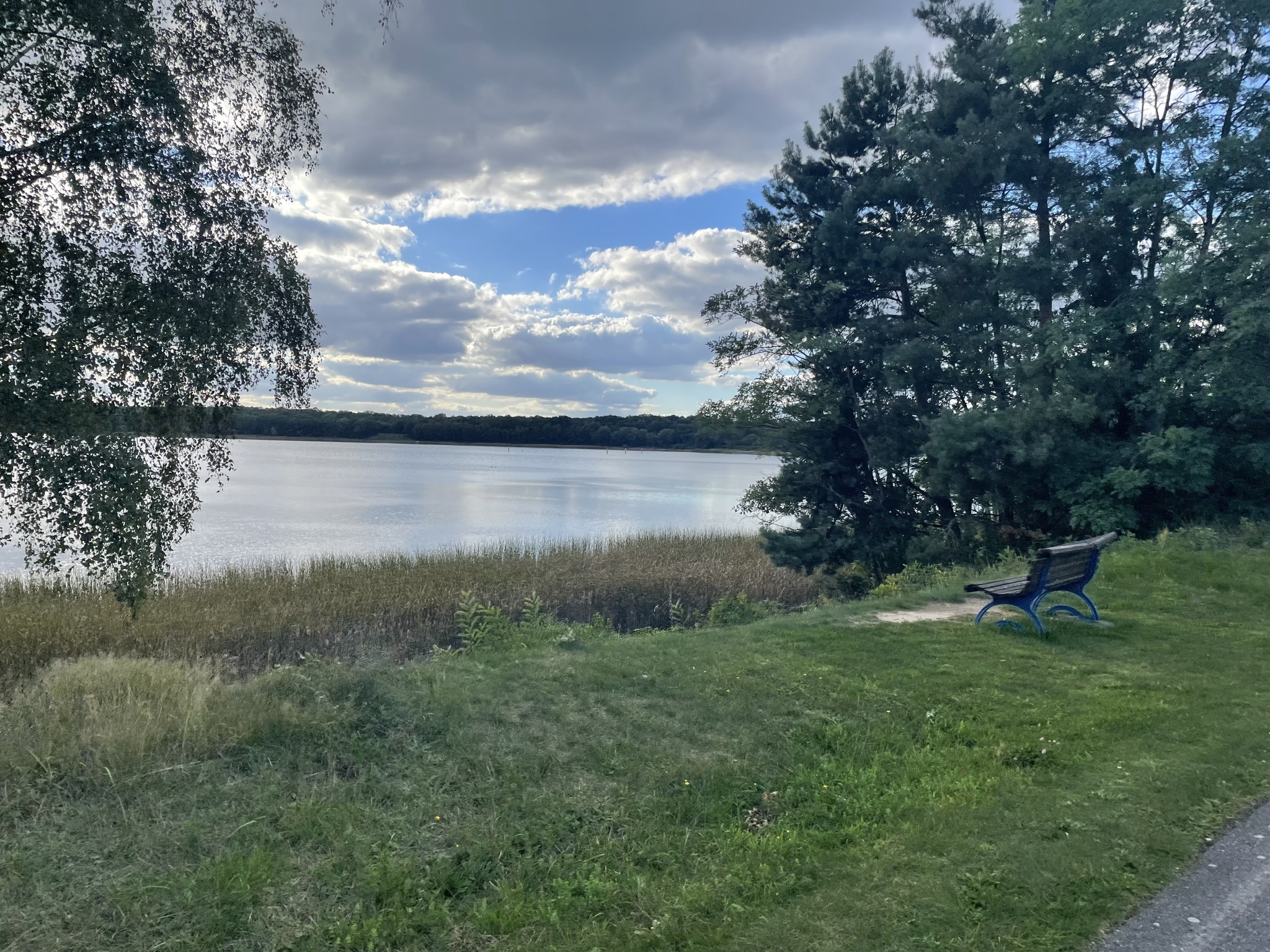 Rundweg um den Dreiweiberner See