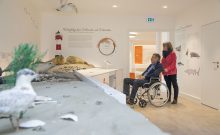 Ausstellung Wattenmeer Ausstellung Wattenmeer