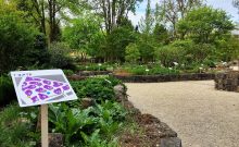 Stadt Frankfurt am Main/ Botanischer Garten Stadt Frankfurt am Main/ Botanischer Garten