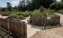 Garten Garten