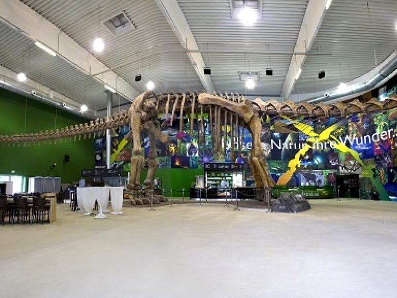 Gondwana - das Prähistorium - ©GONDWANA PRAEHISTORIUM E.K., MATTHIAS MICHAEL KUHL Bild von Gondwana - das Prähistorium - ©GONDWANA PRAEHISTORIUM E.K., MATTHIAS MICHAEL KUHL