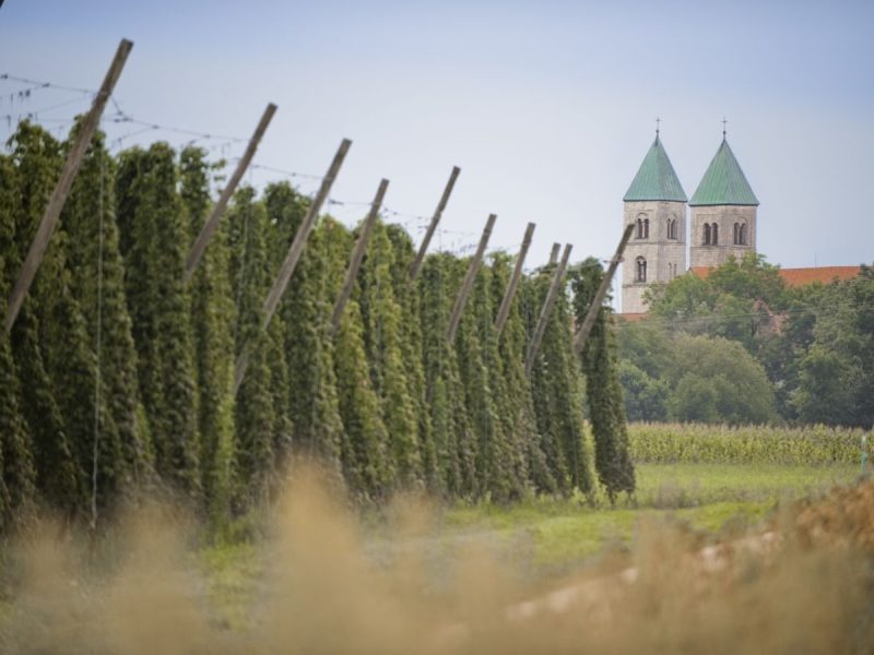 Urlaubsinspiration "Hopfenland Hallertau" - ©Anton Mirwald Bild von Urlaubsinspiration "Hopfenland Hallertau" - ©Anton Mirwald