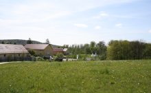 Jugendherberge Lauterbach - Urwald-Life-Camp - ©Sylvia Engel Jugendherberge Lauterbach - Urwald-Life-Camp - ©Sylvia Engel