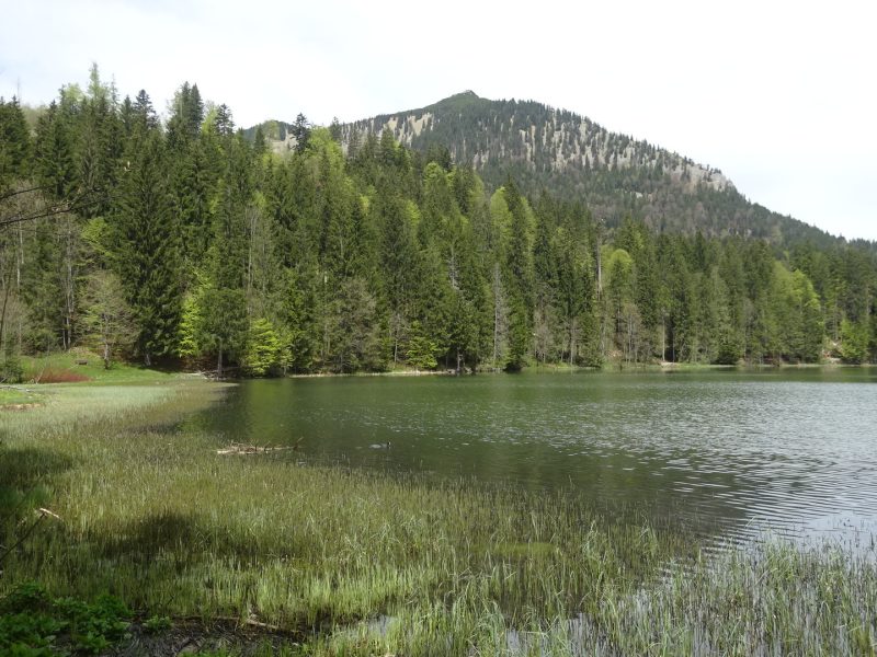 Wanderweg um den Spitzingsee - ©Silke Schropp Bild von Wanderweg um den Spitzingsee - ©Silke Schropp