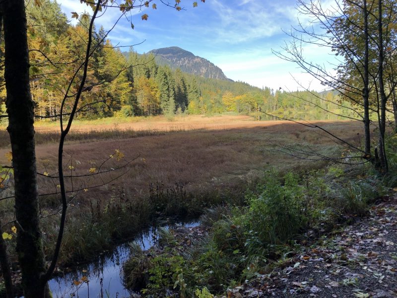 Wanderweg um den Suttensee - ©Angelika Herrmann Bild von Wanderweg um den Suttensee - ©Angelika Herrmann
