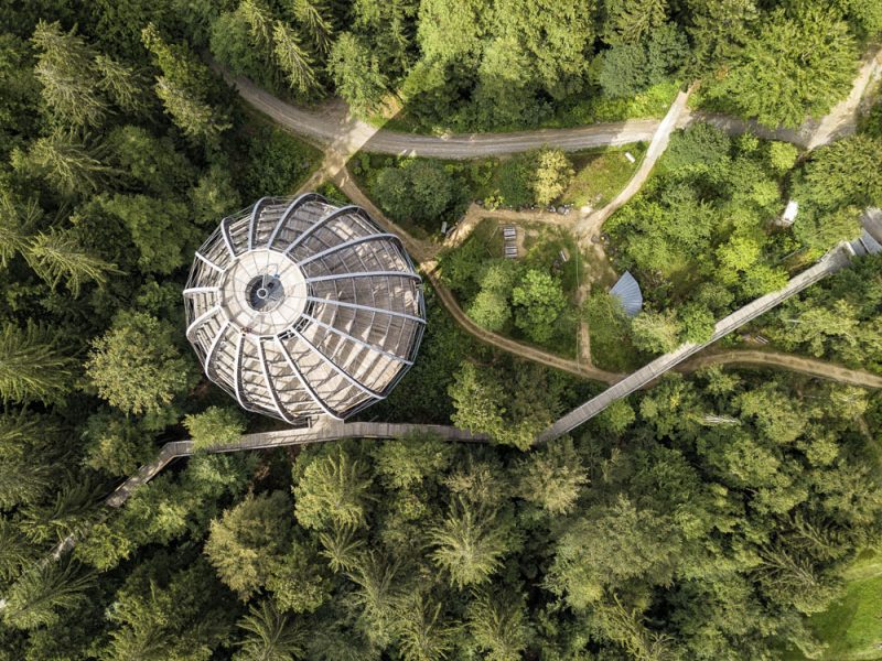 Urlaubsinspiration "Nationalpark kennen lernen - Eintauchen in die wilde Waldnatur" - ©Andreas Meyer Bild von Urlaubsinspiration "Nationalpark kennen lernen - Eintauchen in die wilde Waldnatur" - ©Andreas Meyer