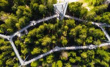 Skywalk Naturerlebnispark Allgäu - ©skywalk allgäu gemeinnützigen GmbH Skywalk Naturerlebnispark Allgäu - ©skywalk allgäu gemeinnützigen GmbH