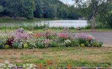 Deutsch-Französischer Garten Deutsch-Französischer Garten