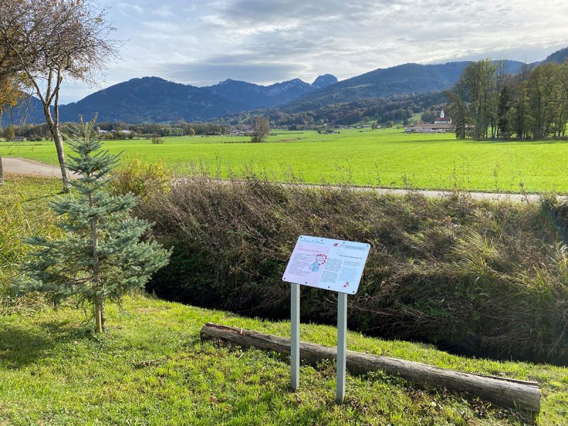 Rundweg Body2Brain - ©Raphael Wagner Bild von Rundweg Body2Brain - ©Raphael Wagner