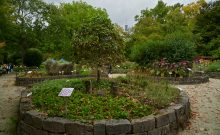 Urlaubsinspiration "Frankfurt.entspannend" - ©Tom Wolf