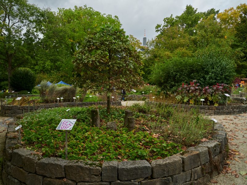 Urlaubsinspiration "Frankfurt.entspannend" - ©Tom Wolf Bild von Urlaubsinspiration "Frankfurt.entspannend" - ©Tom Wolf