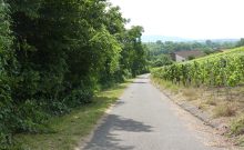 PA-1002-2016-Wein-Wander-Weg "Abt-Degen-Steig" PA-1002-2016-Wein-Wander-Weg "Abt-Degen-Steig"
