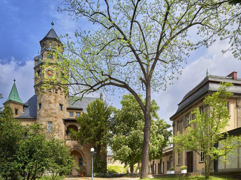 Liebieghaus Skulpturensammlung - ©Liebieghaus Skulpturensammlung Bild von Liebieghaus Skulpturensammlung - ©Liebieghaus Skulpturensammlung