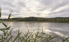Rundwanderweg Silbersee - ©Woidlife Rundwanderweg Silbersee - ©Woidlife
