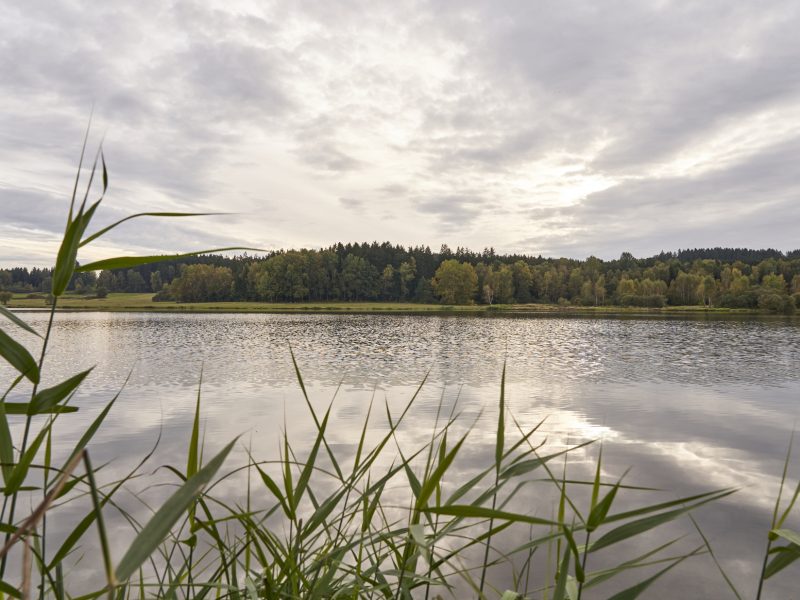 Rundwanderweg Silbersee - ©Woidlife Bild von Rundwanderweg Silbersee - ©Woidlife