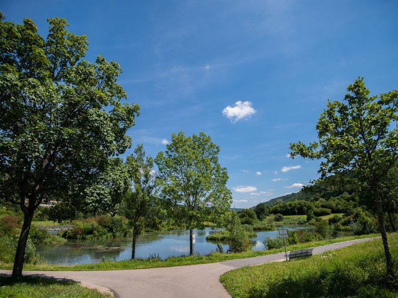 Bild von Rundweg um den Stadtweiher Riedenburg - ©Stadt Riedenburg