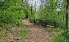 Auenpfad Kapenniederung 4 km - ©Vanessa Wilke