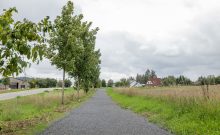 Barrierefreier Komfortwanderweg in Daleiden - ©Naturpark Südeifel/ Thomas Urbany Barrierefreier Komfortwanderweg in Daleiden - ©Naturpark Südeifel/ Thomas Urbany