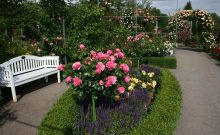 Europa Rosarium Sangerhausen Europa Rosarium Sangerhausen