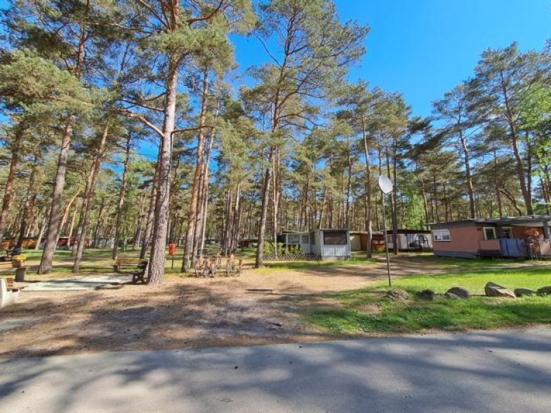 Campingplatz Arendsee - ©Manuela Fischer Bild von Campingplatz Arendsee - ©Manuela Fischer