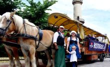 Mecklenburger Kutsch- und Kremserfahrten