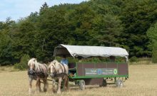 Pferde- und Archehof Kellerwald mit Planwagenfahrten - ©Nationalpark Kellerwald-Edersee / Backhaus