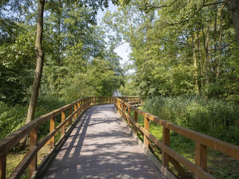 Zwischenahner Meerweg - ©Martin Stöver