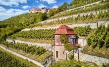 Herzoglicher Weinberg bei Freyburg (Unstrut) - ©Jens Wegener_DZT Herzoglicher Weinberg bei Freyburg (Unstrut) - ©Jens Wegener_DZT