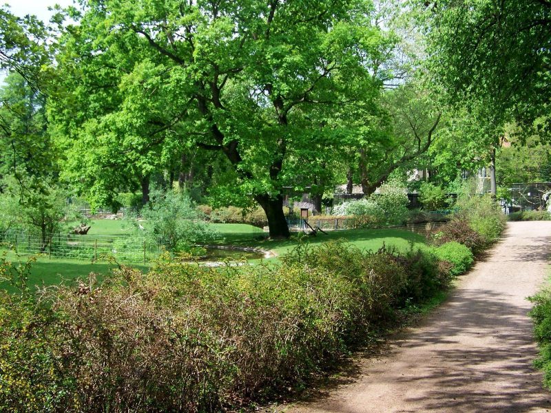 Tierpark Dessau - ©Tierpark Dessau Bild von Urlaubsinspiration "Dessau-Roßlau - Natur erfahren" - ©Tierpark Dessau