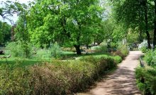 Tierpark Dessau - ©Tierpark Dessau Tierpark Dessau - ©Tierpark Dessau