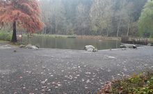 Kurpark Daun - ©Margret Bongart