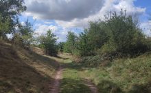 Naturlehrpfad "Porphyrlandschaft Wettin/Gimritz"  - ©Ramona Wolf