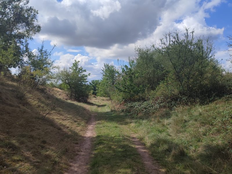 Naturlehrpfad "Porphyrlandschaft Wettin/Gimritz" - ©Ramona Wolf Bild von Naturlehrpfad "Porphyrlandschaft Wettin/Gimritz" - ©Ramona Wolf