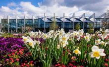 egapark Erfurt - ©Steve Bauerschmidt