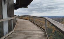 Baumwipfelpfad Saarschleife - ©Julia Marmulla