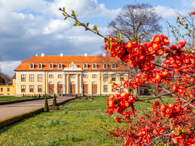 Schloss und Schlosspark Mosigkau im Gartenreich Dessau-Wörlitz - ©Photographer: P. Dafinger Bild von Schloss und Schlosspark Mosigkau im Gartenreich Dessau-Wörlitz - ©Photographer: P. Dafinger