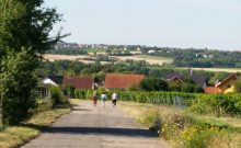 Rundweg im Naherholungsgebiet am Huckenhof - ©Thea Weiskopf Rundweg im Naherholungsgebiet am Huckenhof - ©Thea Weiskopf