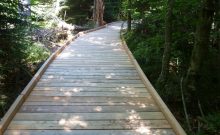 Bohlenweg Großer Filz - ©Martine Ernst