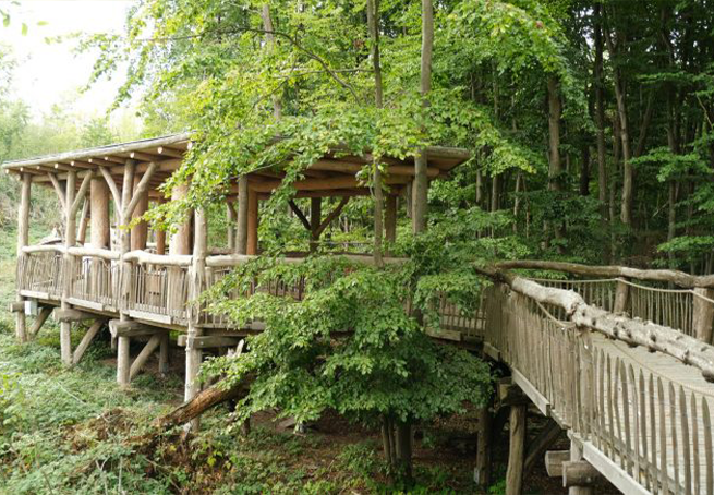 © Dr. Thomas Schaefer